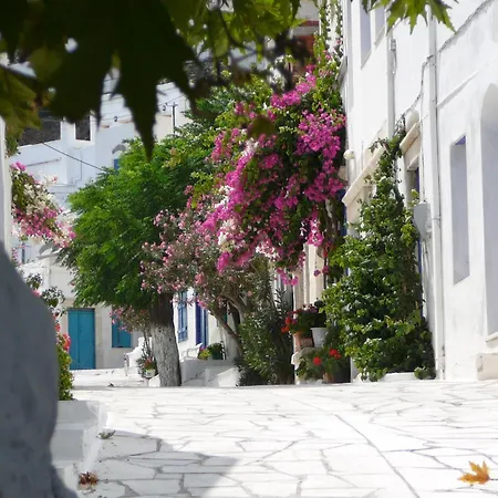 Elva House Apartament *